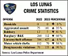 LLPD Crime Stats 2024
