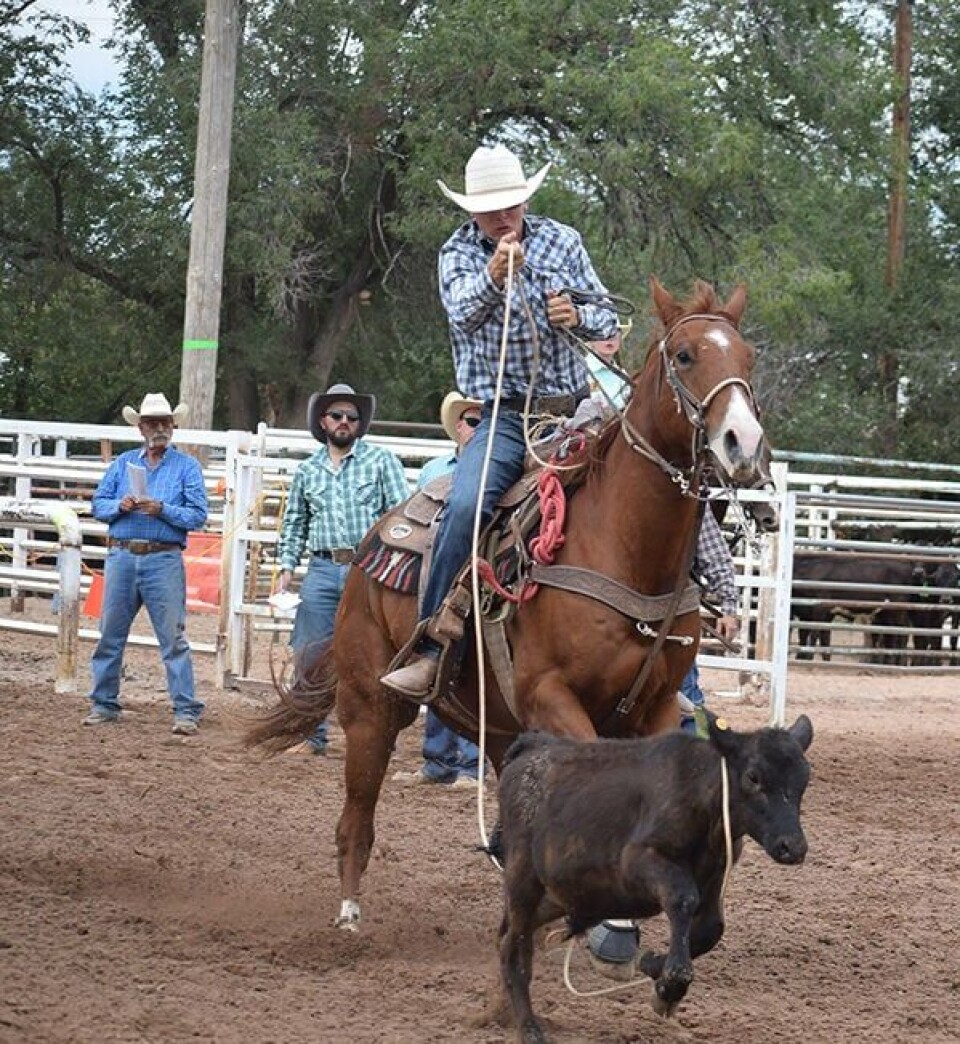 Number 4 Rodeo 4-H Rodeo Ropers & Riders compete in Bosque Farms | Sports | news ...