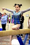 SPORTS-SW Gymnastics10 2COL.JPG