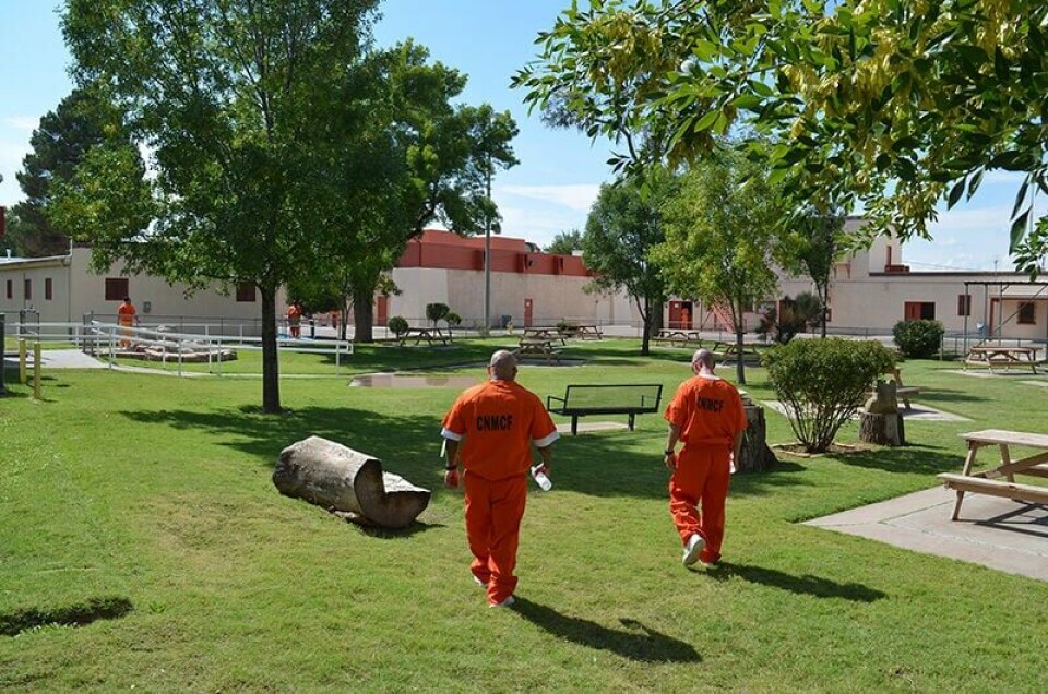 Wnmcf Central New Mexico Correctional Facility reopens “The Farm” | News ...