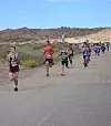 SPORTS-GARDNER XC8 2 COL.JPG