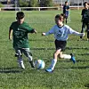 SPORTS-LL Youth Soccer5 2 COL