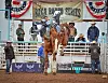 CC- Casper Baca bucking horse 3 COL