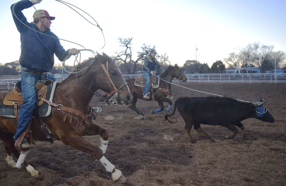 Valencia County ropers wrangle world title, huge payday