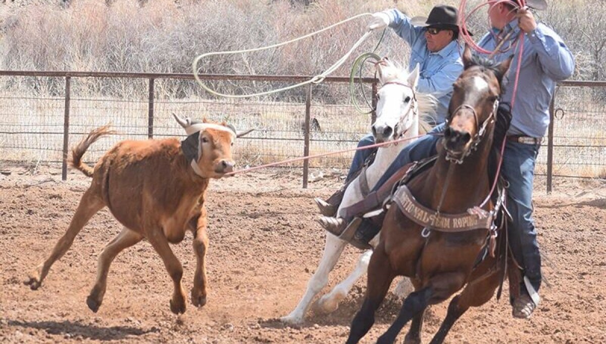 Beis Rodeo Baca Rodeo Series pulling up stakes in Belen | Sports | news-bulletin.com