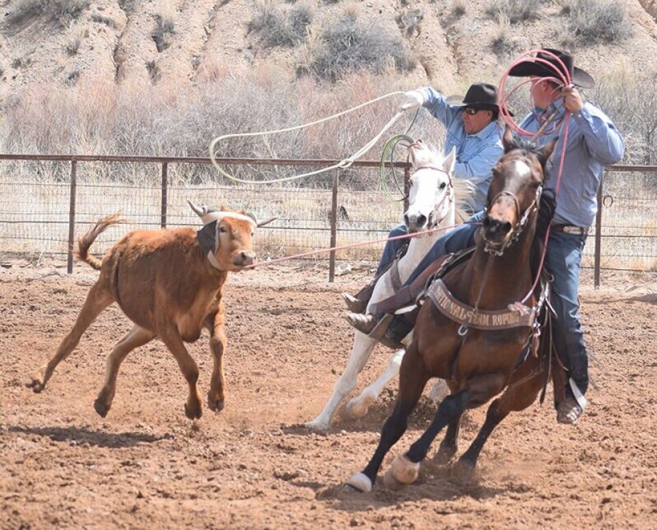 Balecigan Rodeo Baca Rodeo Series pulling up stakes in Belen | Sports | news-bulletin.com