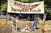 Perea’s Pumpkins16 3 COL