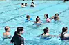 Swim7 3COL.JPG