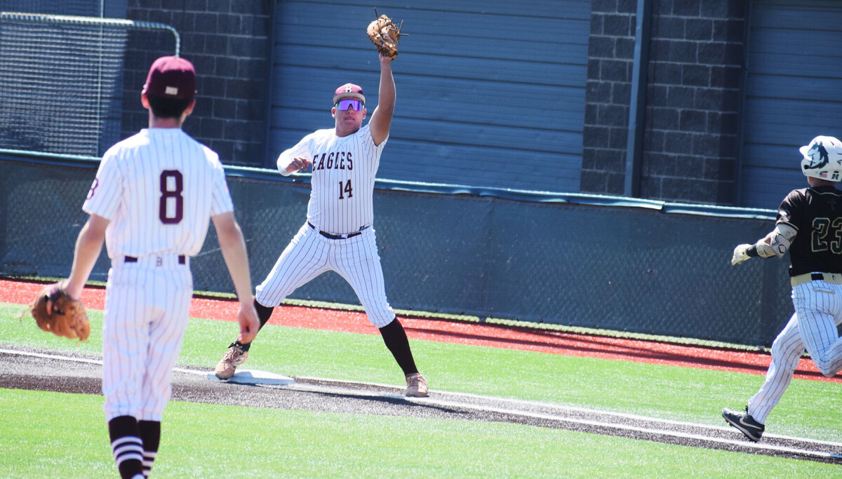 Eagles, Tigers ousted from state baseball playoffs