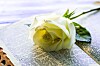 Obituaries