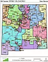 2021-SenateDistricts PDF thumbnail