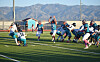 Eagles fall short, Tigers and Jaguars notch wins