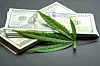 Money and cannabis