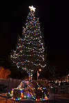 LL-Tree-Lighting