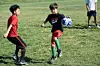Los Lunas High School Summer Soccer Camp