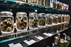 diverse range of cannabis strains on display at store or dispensary