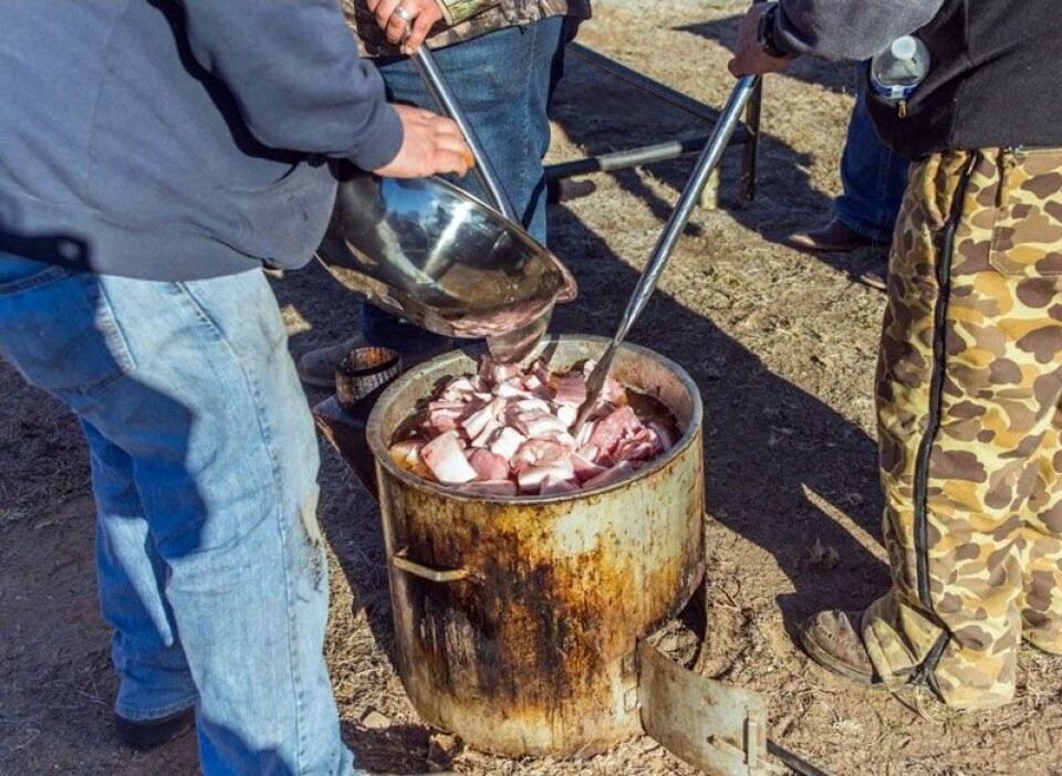 Matanza Rice 20th annual World’s Largest Matanza | Features | news-bulletin.com