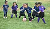 SPORTS-AYSO3 3 COL.JPG