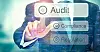 Audit