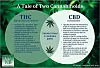 Cannabis THC vs CBD