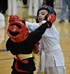SPORTS-KARATE4 2 COL