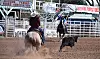 SPORTS-BF BACA RODEO21 3 COL