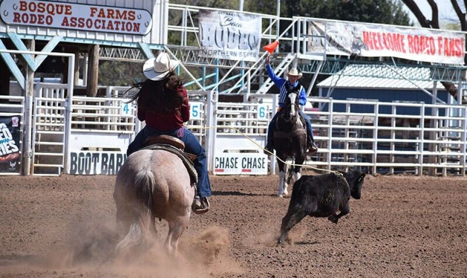 Bashore Rodeo Baca Rodeo Series enjoys new home in Bosque Farms | Sports | news ...