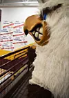 SPORTS-Eagle Mascot5 2 COL.JPG