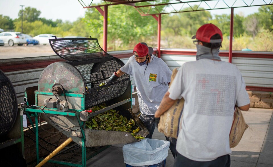 Snake Ranch Chile Locals are savoring the smells & taste | Business | news-bulletin.com